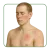 Kategorien