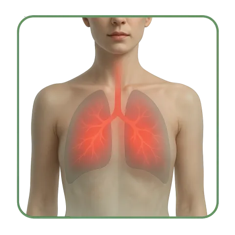 Medikamente mit Antibiotika