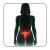 Kategorien
