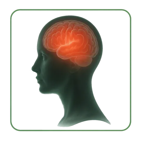 Medikamente mit Antidepressiva