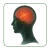 Kategorien