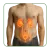 Kategorien