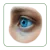 Kategorien