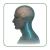 Kategorien