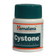 Cystone 446 mg tabletten