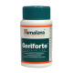 Geriforte 100 tabletten